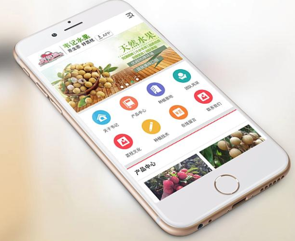 西安定制app开发公司哪家好